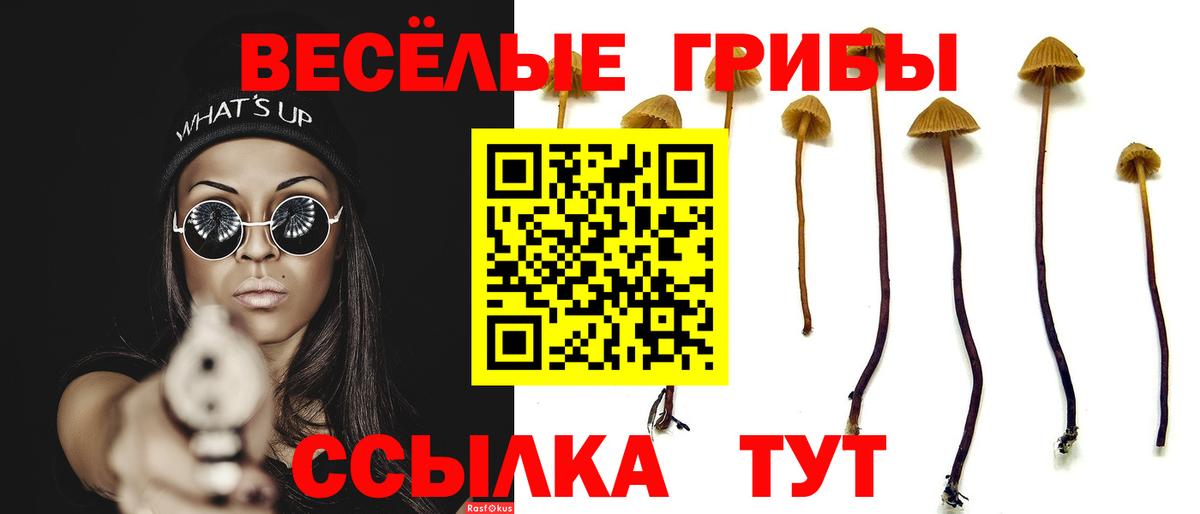 Зеленокумск  Галлюциногенные грибы мицелий  Вход с VPN 