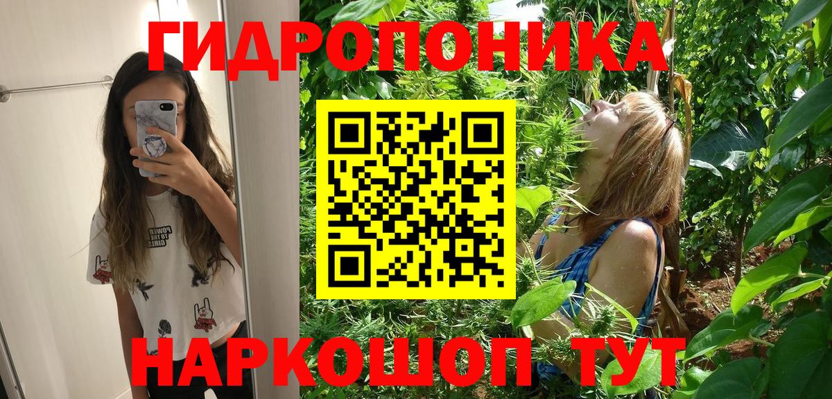 Марихуана Bruce Banner  Вход с VPN  Шишки марихуана индика  Зеленокумск 